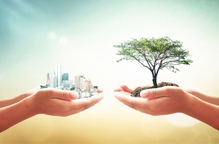 Environmental Management