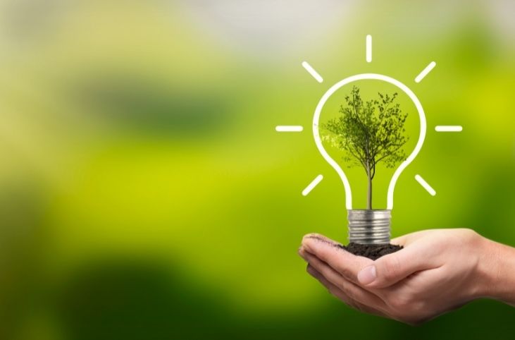 Environment Consultancy