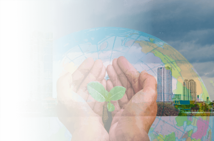 Environmental Consultancy